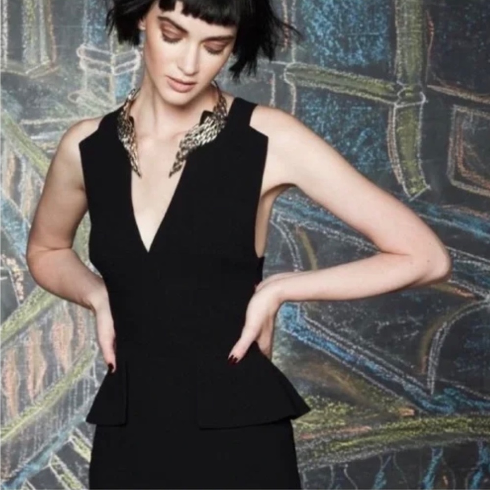 Bcbgmaxazria Rooney Gown View 6